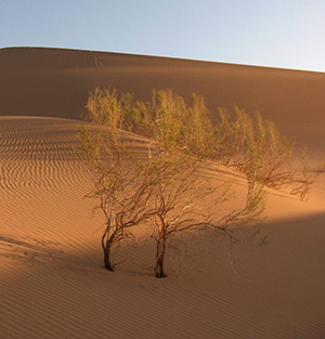 Désert-de-Varzaneh-dunes-de-sable